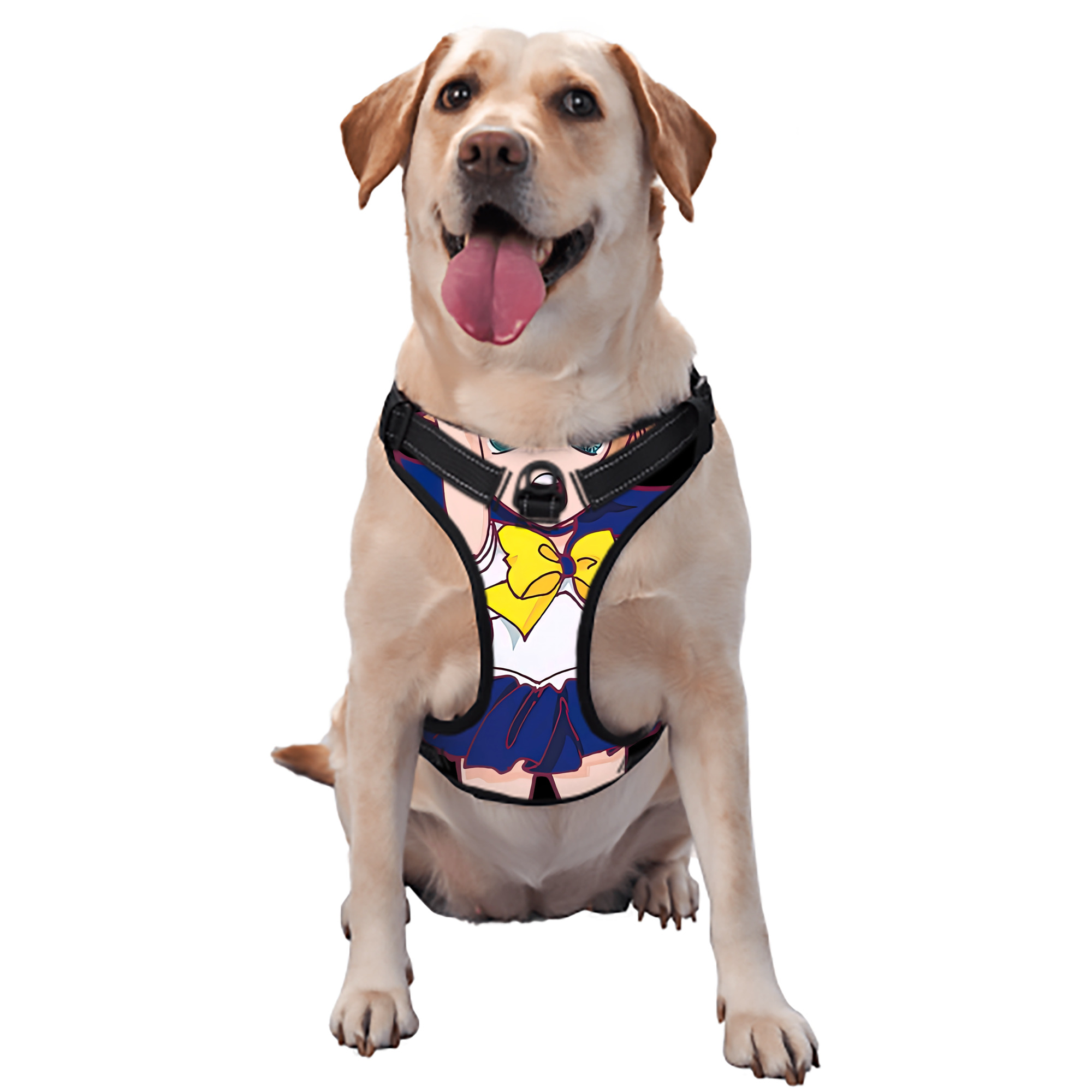 （画像用） 美少女戦士セーラームーン 天王はるか Sailor Moon Tenoh Haruka ペット用ハーネス